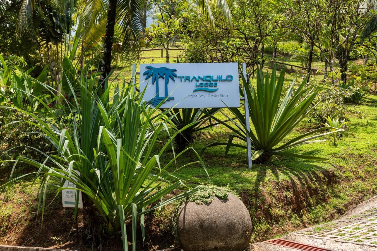 The Tranquilo Lodge, Adult Only, All Meals Included Drake Bay Bagian luar foto
