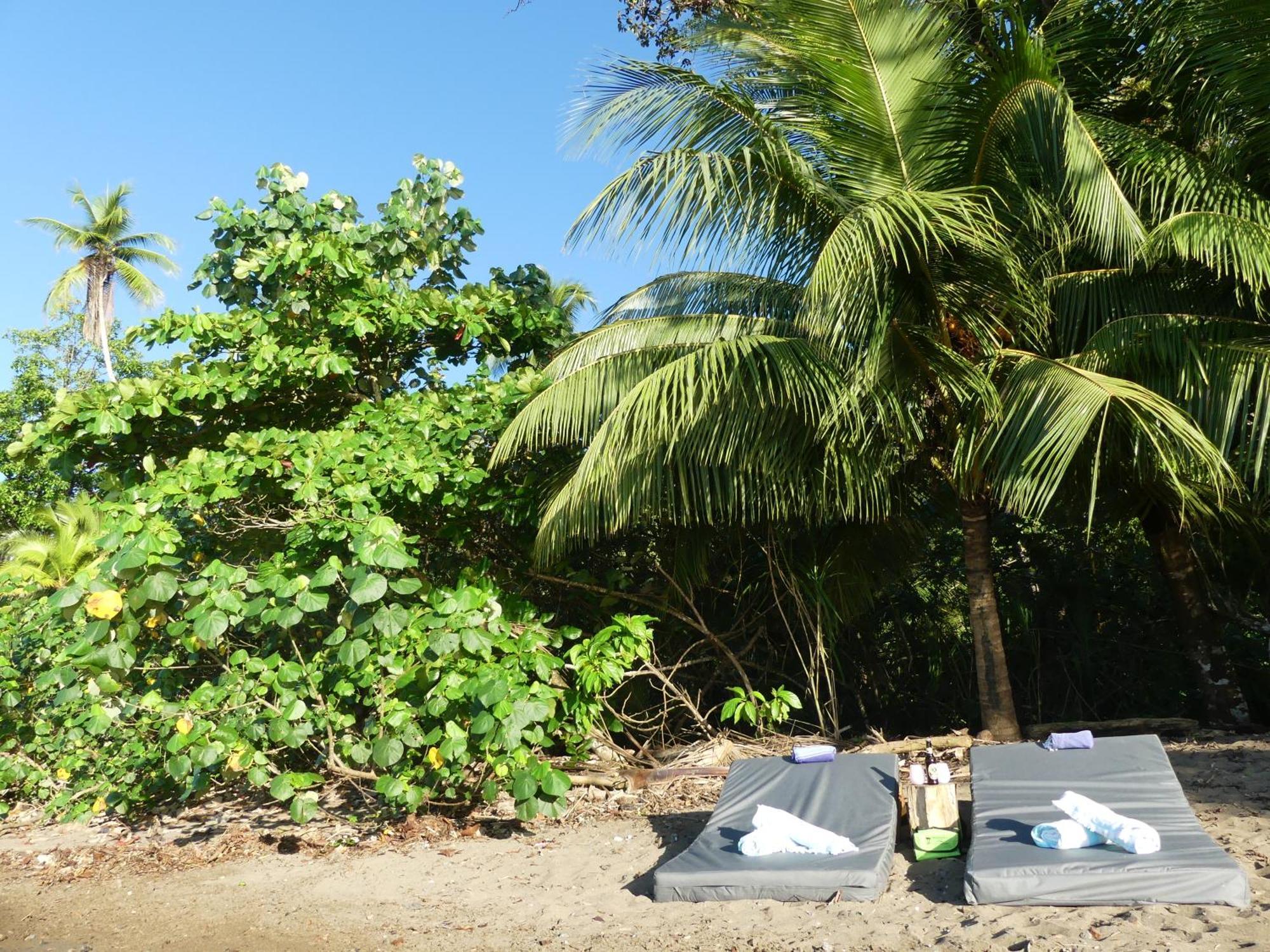 The Tranquilo Lodge, Adult Only, All Meals Included Drake Bay Bagian luar foto